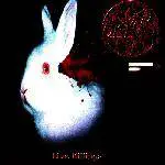 Orkus : Live Killings